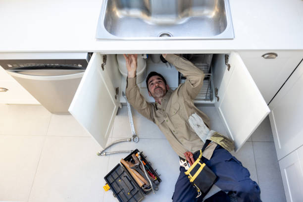 Best Clogged Drain Plumber  in Buckingham, FL