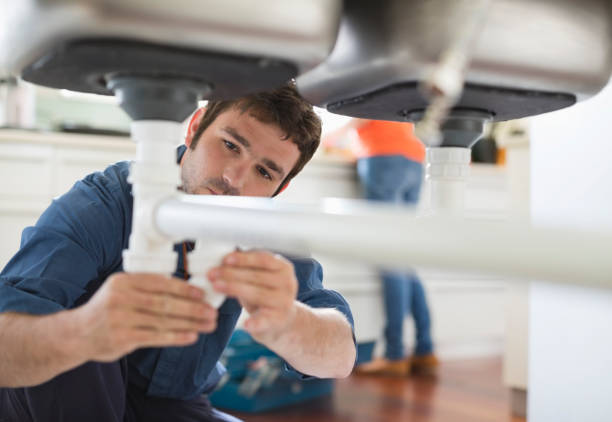 Best Sprinkler Systems  in Buckingham, FL