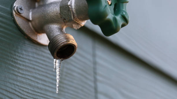 Best Pipe Repair Near Me  in Buckingham, FL